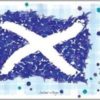 https://www.onemoregift.co.uk/product/scottish-saltire-scotland-flag-tartan-tea-towel